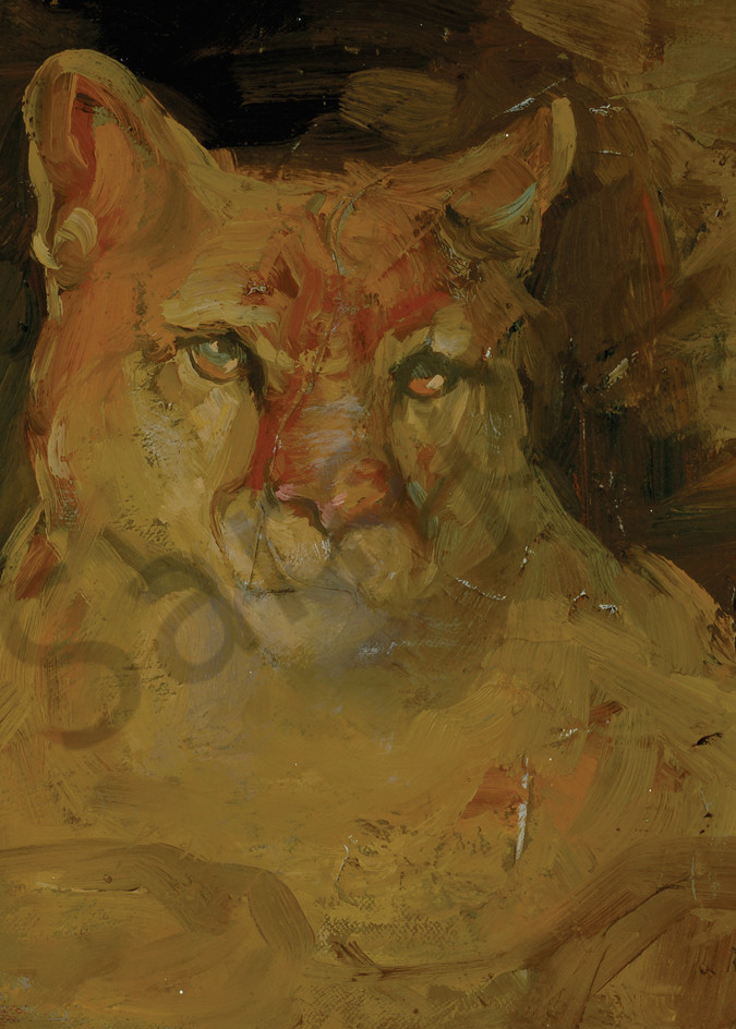 Cougar Art | Mary Roberson