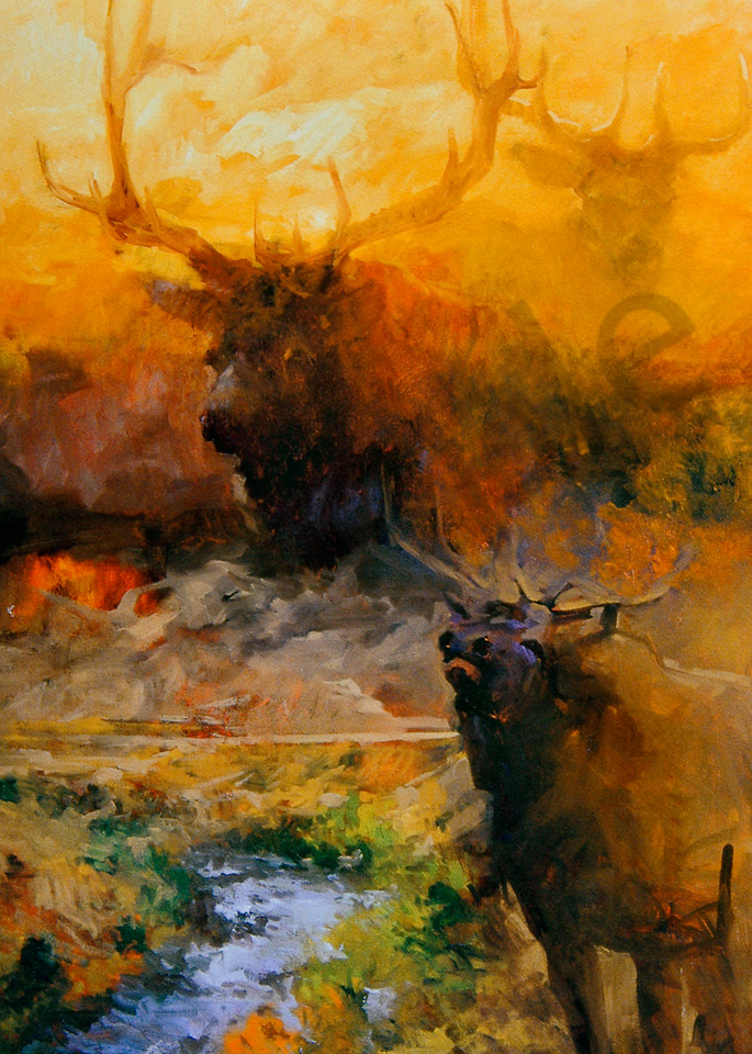 Elk At The Yellowstone Art | Mary Roberson
