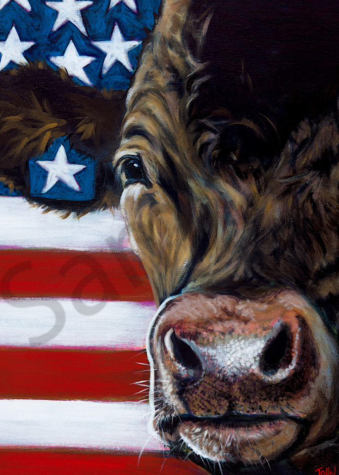 Cow and flag paintings by John R. Lowery, for purchase as art prints.
