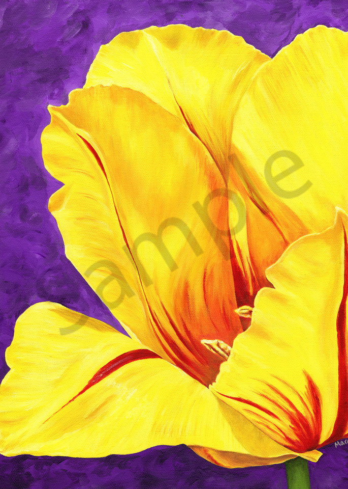 Acrylic painting on canvas of a bright yellow tulip with red stripes against a purple background by Mare's Art.