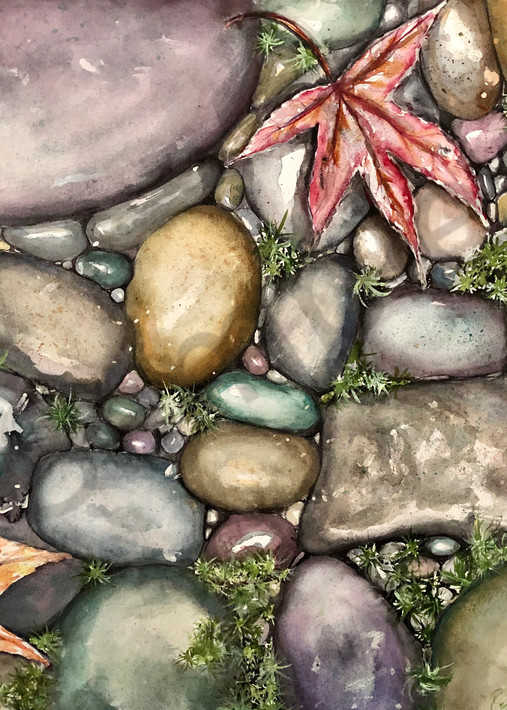 River Rocks and Maple Leaves