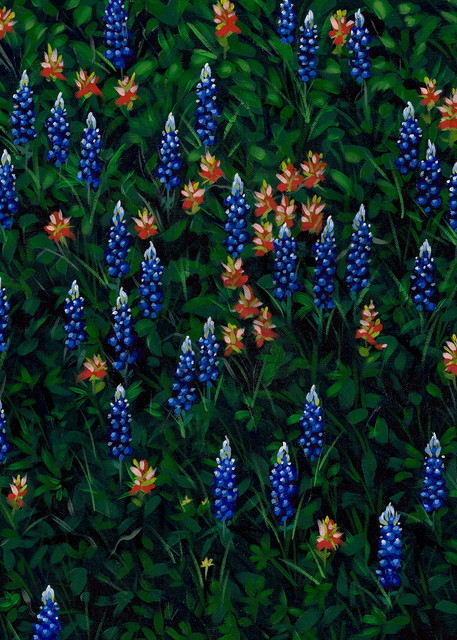 Texas wildflower painting