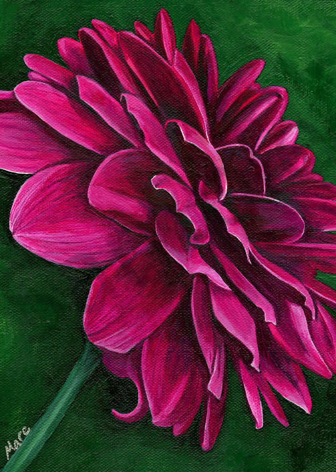 Acrylic painting of a single red dahlia flower by artist Mary Anne Hjelmfelt of Mare's Art