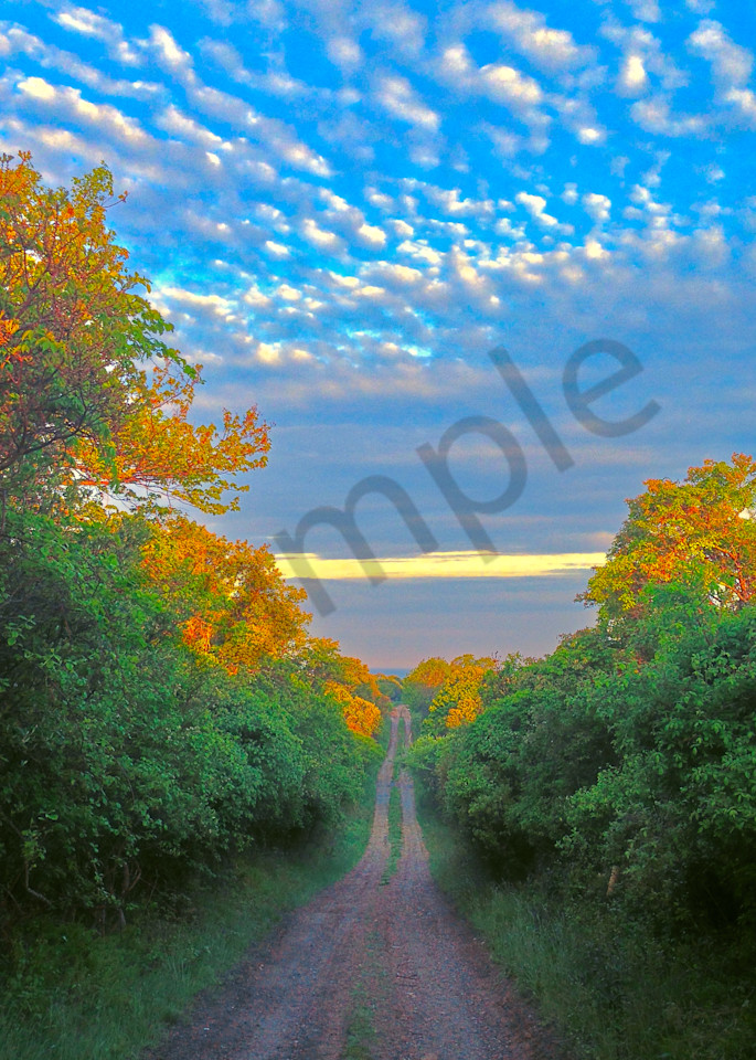 Road to the Clouds|Fine Art Photography by Todd Breitling
