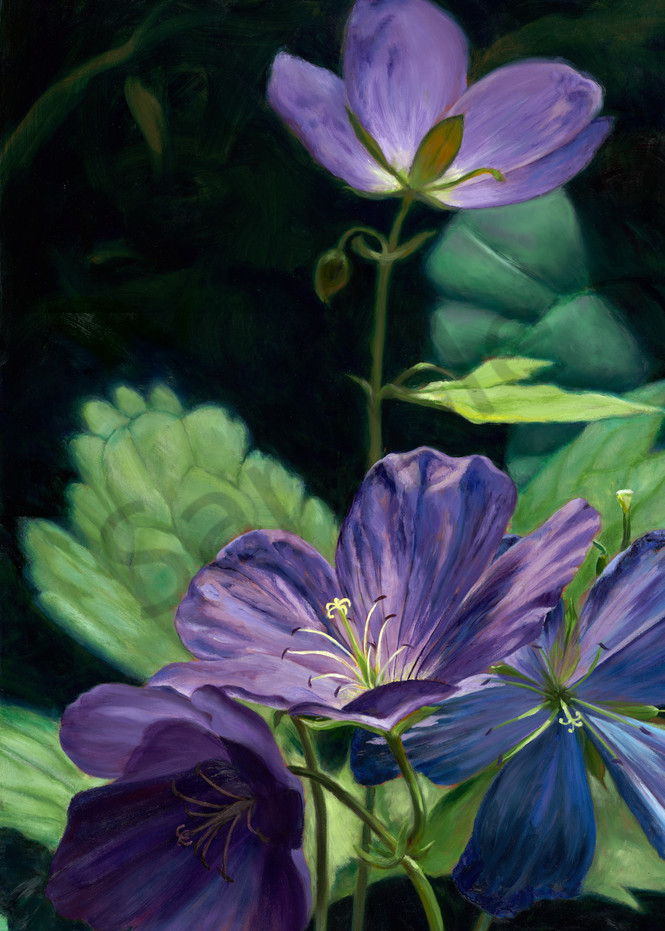 Purple Wildflower Close Up: Shop Painting & Prints