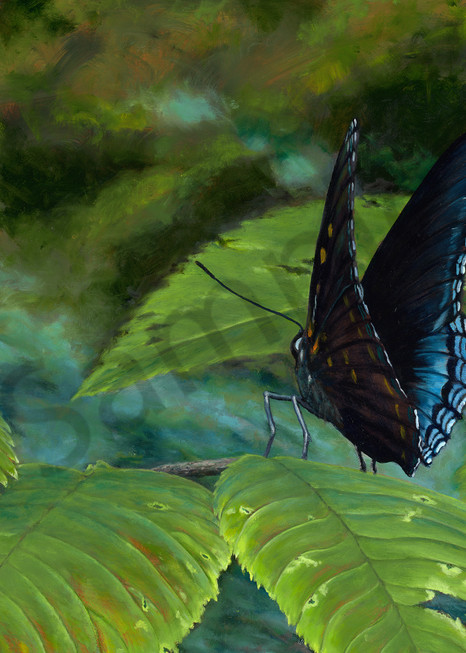 Red Spotted Purple Butterfly Oil Painting & Prints
