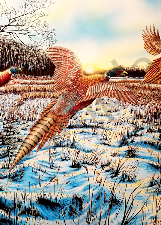 Pheasants In Michigan Art | Artisticknack LLC