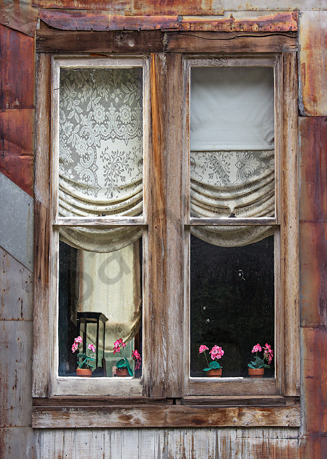 8463 Window Art | Cunningham Gallery