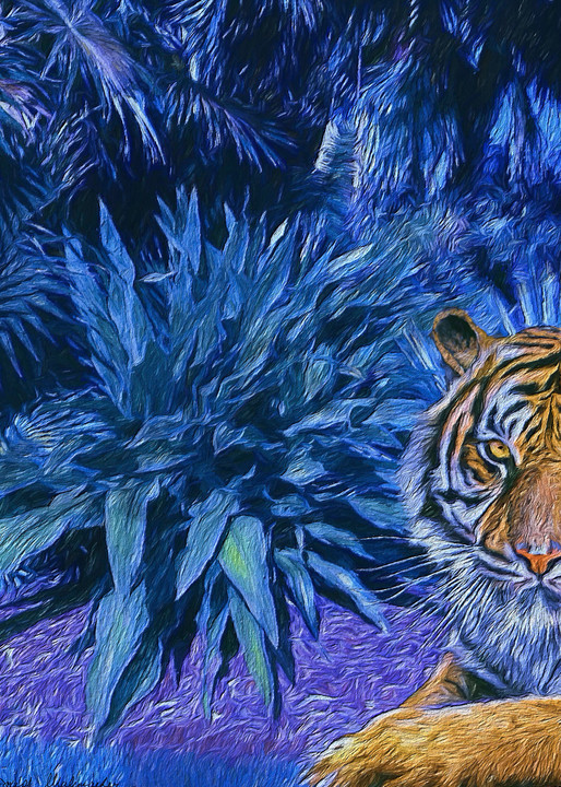 Tiger In The Night - The Gallery Wrap Store