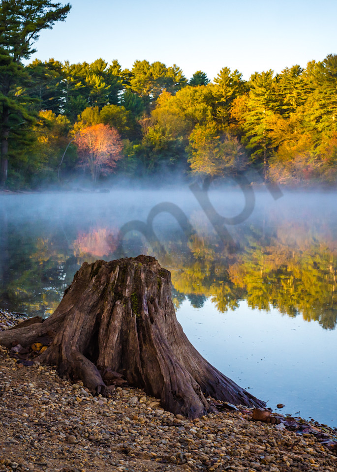 Autumn Morning Photography Art | Kim Bova Photography