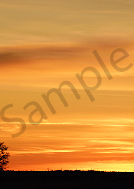 Winter Sunset Photography Art | LHR Images