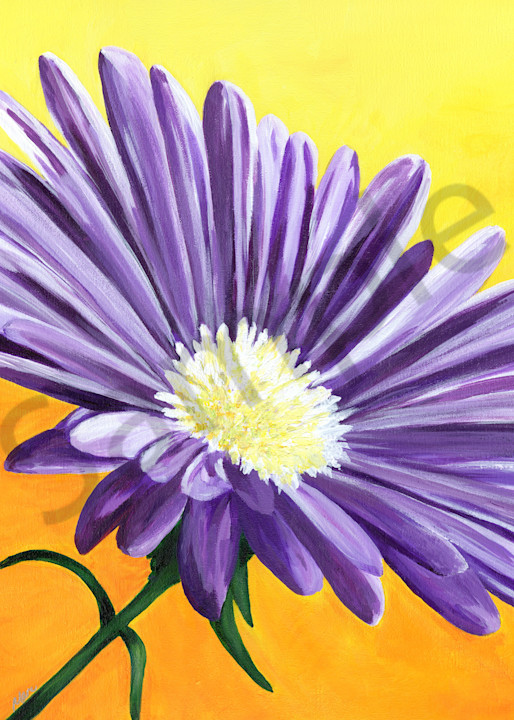 "Enchanted", an acrylic painting of a single purple Aster flower by artist Mary Anne Hjelmfelt
