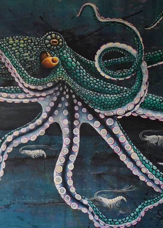 Shrimp Coctail Art | Shore Paintings