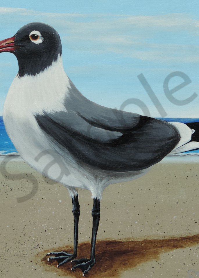 Gull Art | Shore Paintings