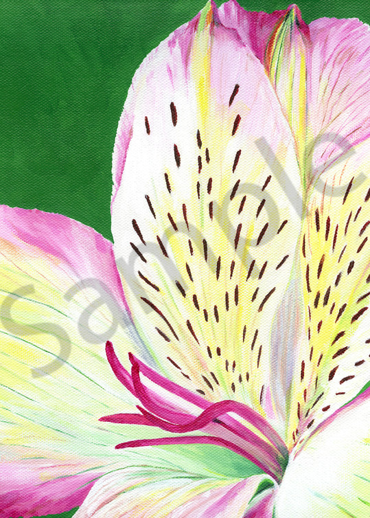 "Abundance", an acrylic painting of the Alstroemeria flower by artist Mary Anne Hjelmfelt. Great floral art for the home or office decor.