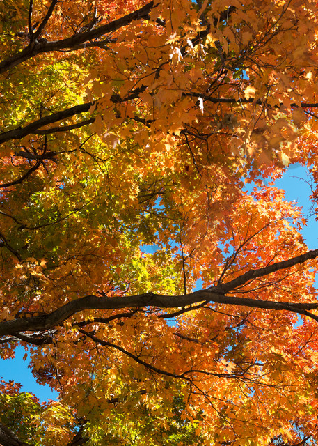 Brilliant fall foliage Saratoga Springs 
