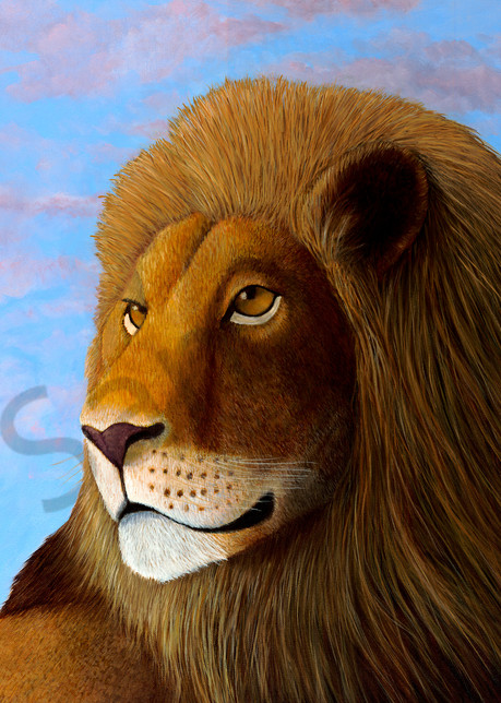 Lion  Art | Frank Trozzo