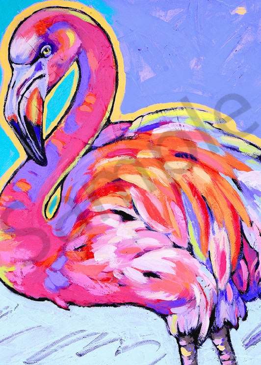 Flamingo Dances Under Sun