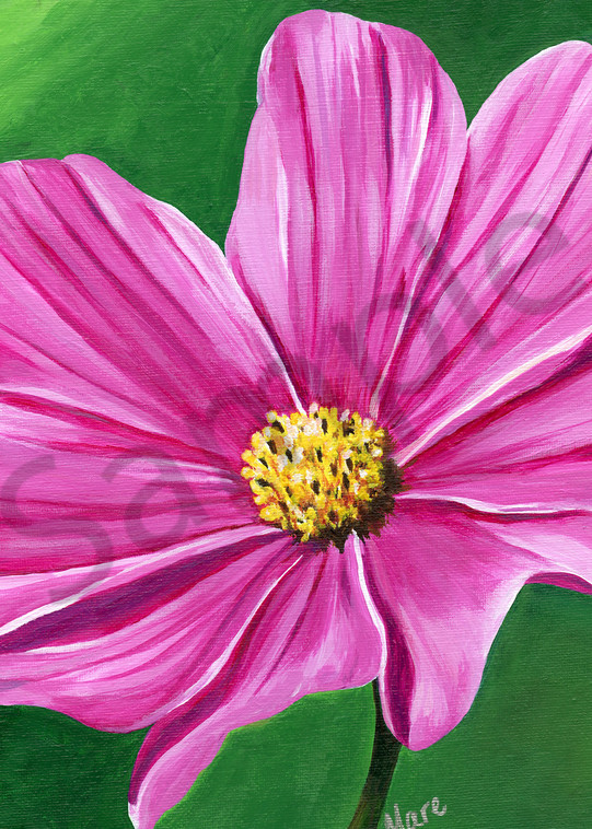 “Harmony” acrylic artwork by Mary Anne Hjelmfelt of a pink Cosmos flower.