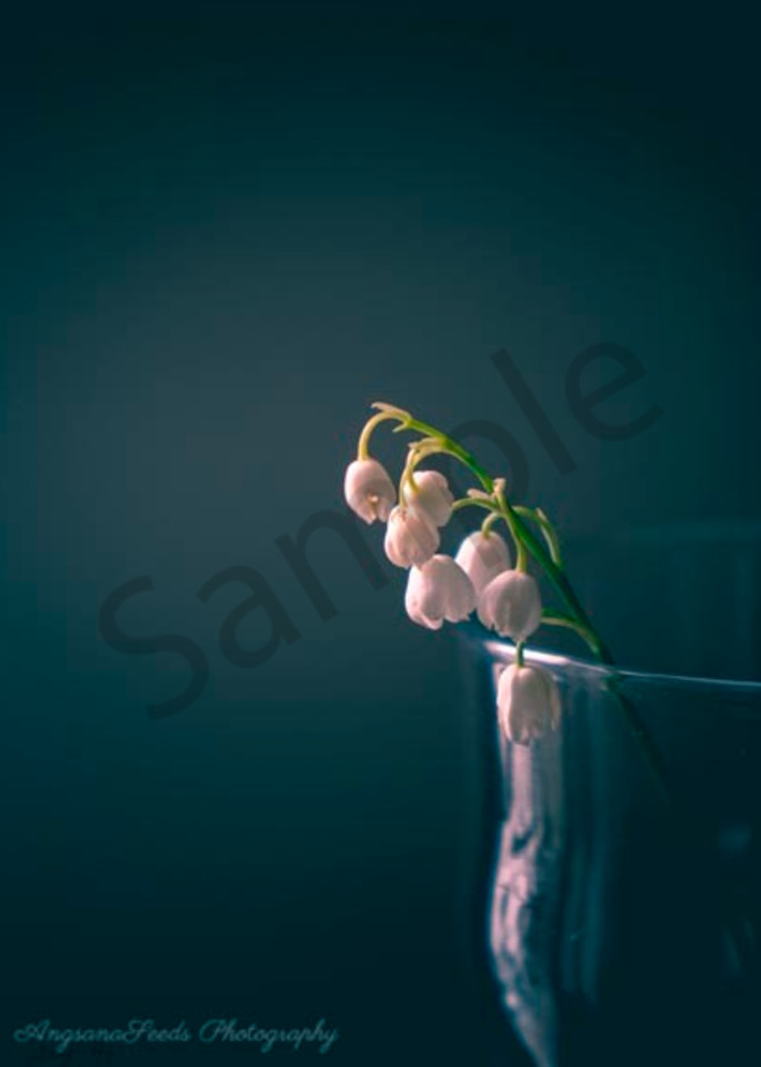 Lily Of The Valley  Art | AngsanaSeeds Photography