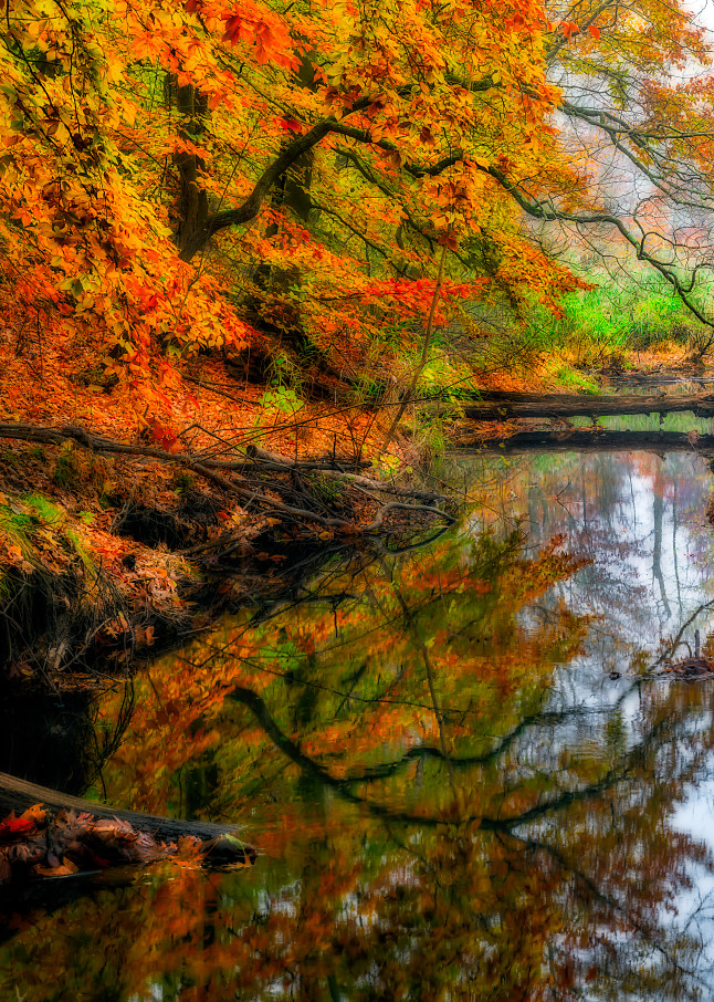 Fall scene reflecting in lake