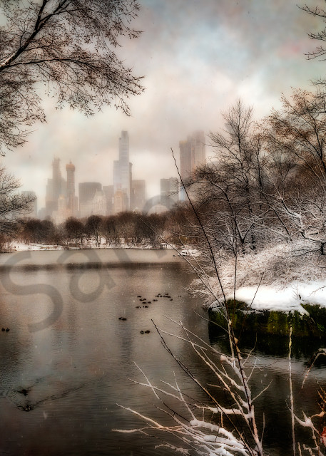 Winter scene in New York's Central Park