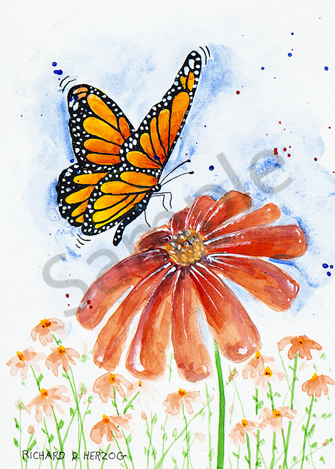 Butterfly 8 Art | Cincy Artwork