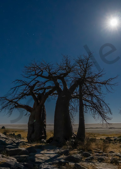 Luna Eclipse, Lekhubu Island, Kalahari Photography Art | Tolowa Gallery