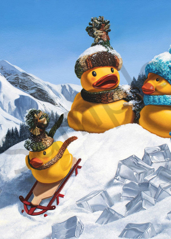 "Cold Duck" print by Kevin Grass