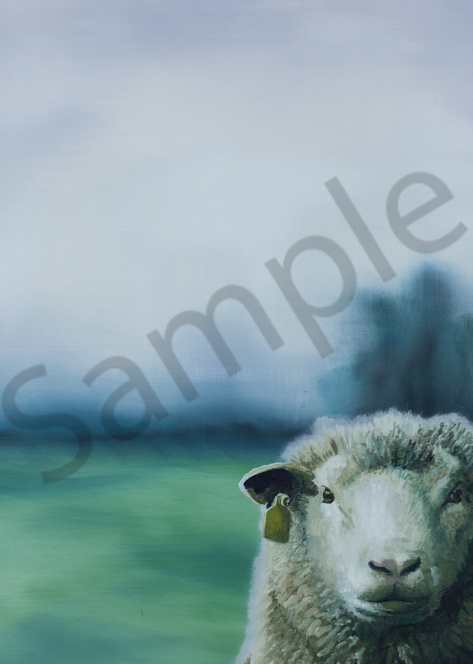 Sheep, farm, animals, country, farm animals, pasture, lone, countryside, landscape