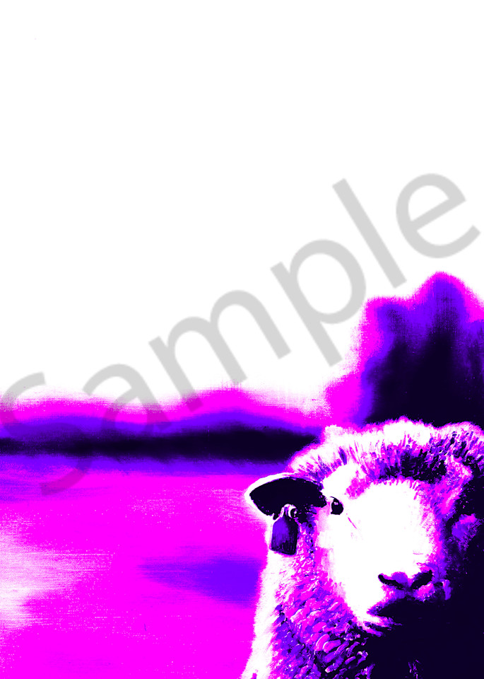 abstract, modern, sheep, two tone, barnyard, lone sheep