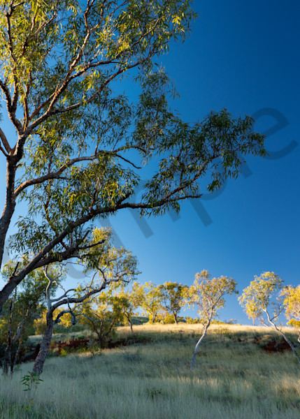 Pilbara Sunrise Photography Art | Tolowa Gallery