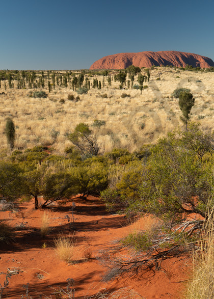 Uluru Photography Art | Tolowa Gallery