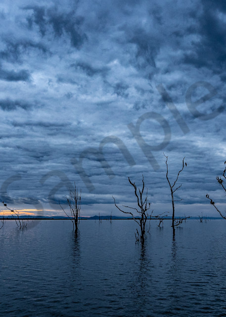 Lake Cormorants Photography Art | Tolowa Gallery