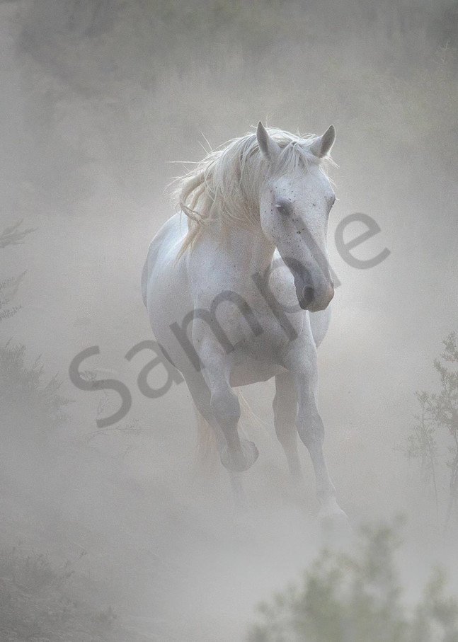 0078 Wild Mustang Art | Cunningham Gallery