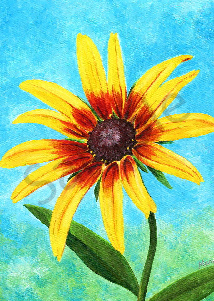 Fine art prints of "Firecracker" - a warm, floral, acrylic painting of the black-eyed, brown-eyed Susan.