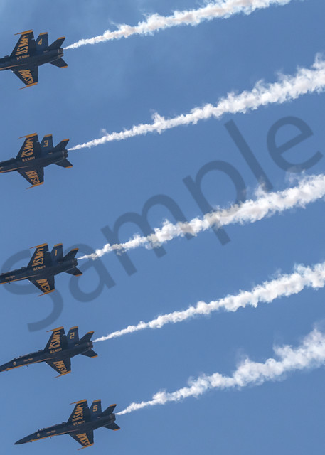 Blue Angels 5 Plane Formation