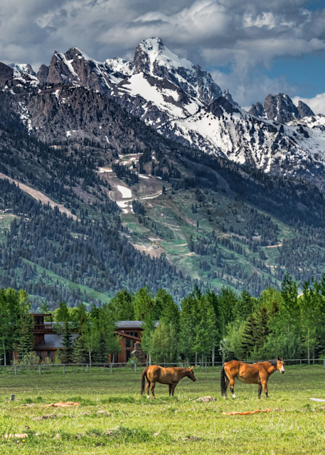 Horse Ranch in Jackson Hole