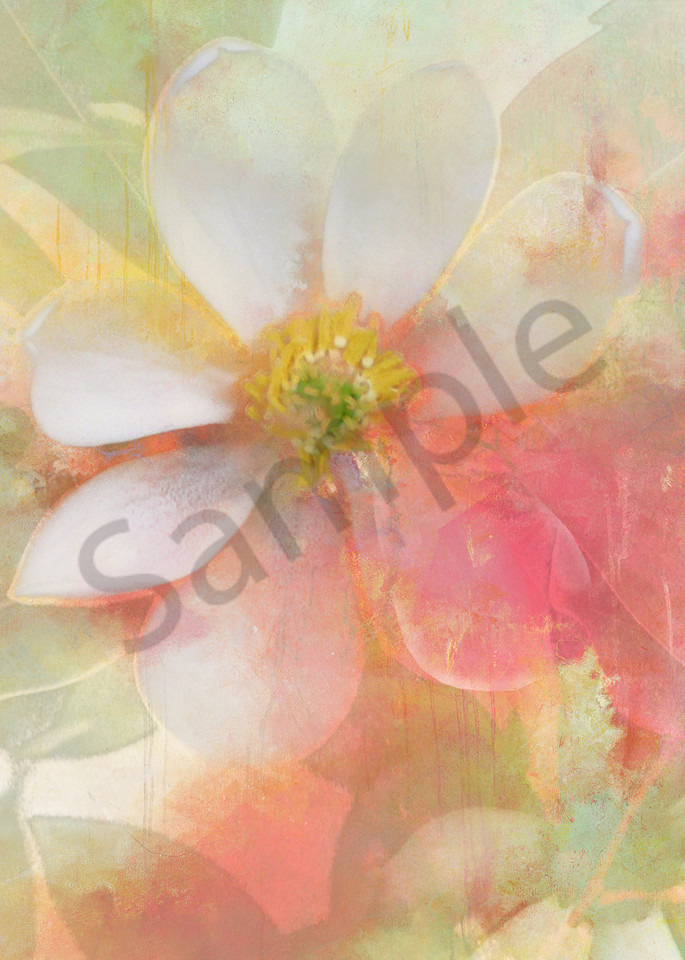 White Magnolia Art | Cincy Artwork