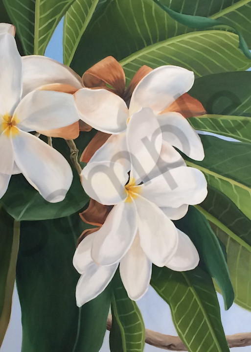 Beautiful Blooms Art | Suzanne Aulds Studio