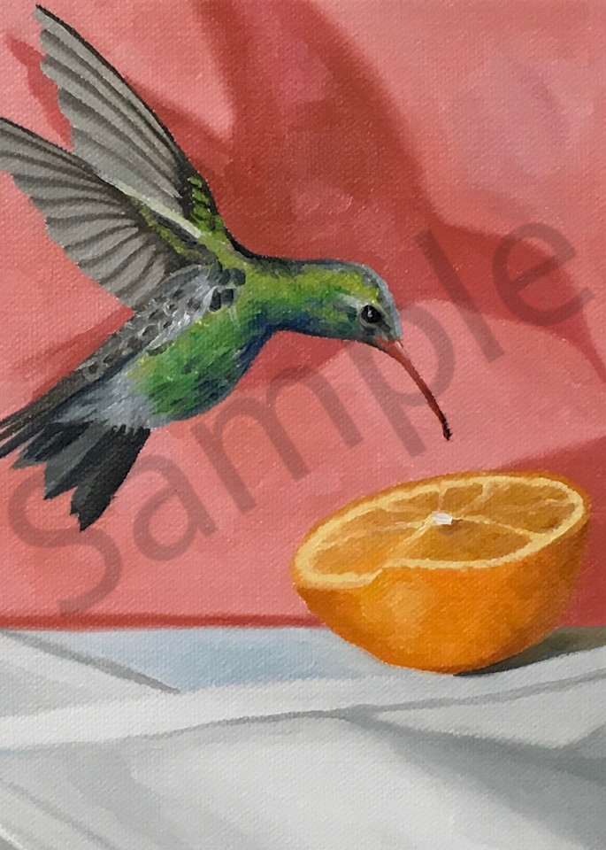 Hummingbird Art | Suzanne Aulds Studio