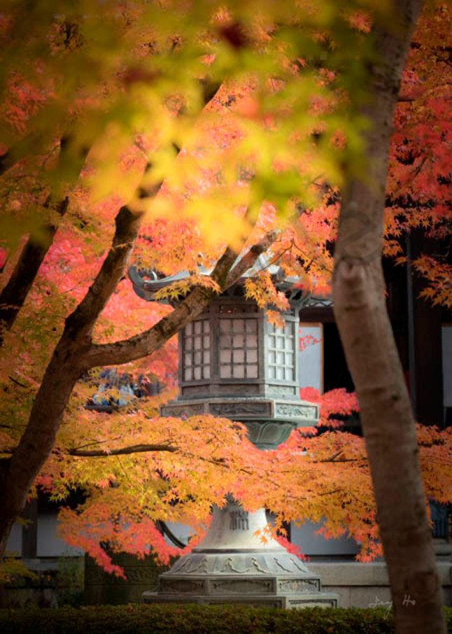 Fine art photograph of a Japanese Shinto shrine stone lantern shrouded by the autumn leaves by Ivy Ho.