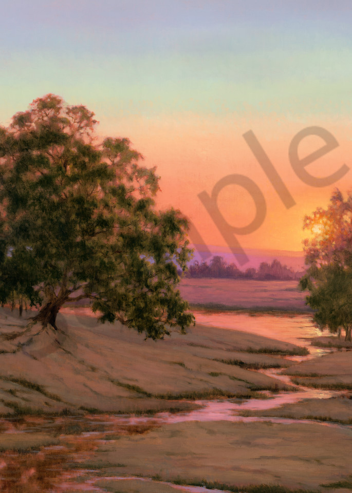 Wetland Sunset Color  Art | Terry Sauve Fine Art 