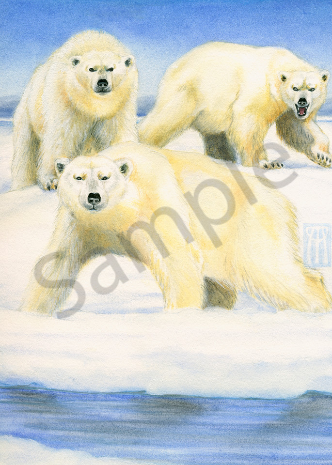 polar bears rpg