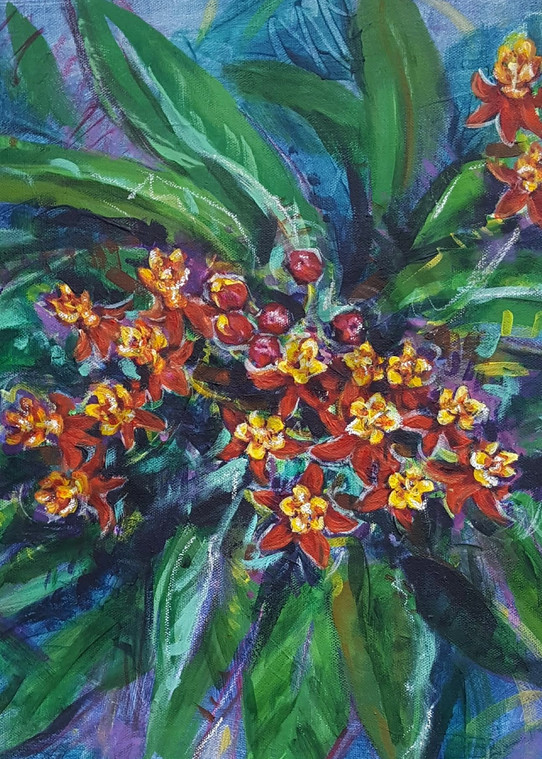 Tropical Milkweed Abstract fine art prints
