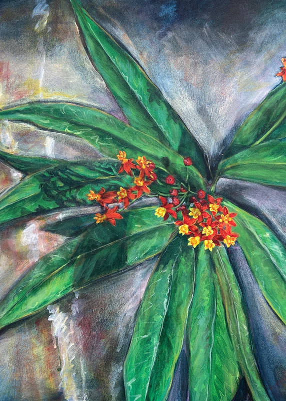 Tropical Milkweed painting fine art prints