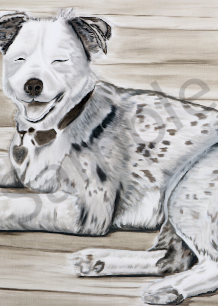Australian Shepherd Dog Painting by Marie Stephens Art