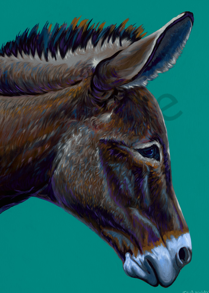 Original painting of a side view of a donkey head for sale as art prints.