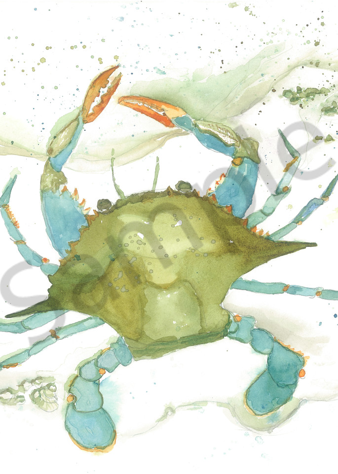 Blue Crab Ii Art | Jackie Braden  Fine Art