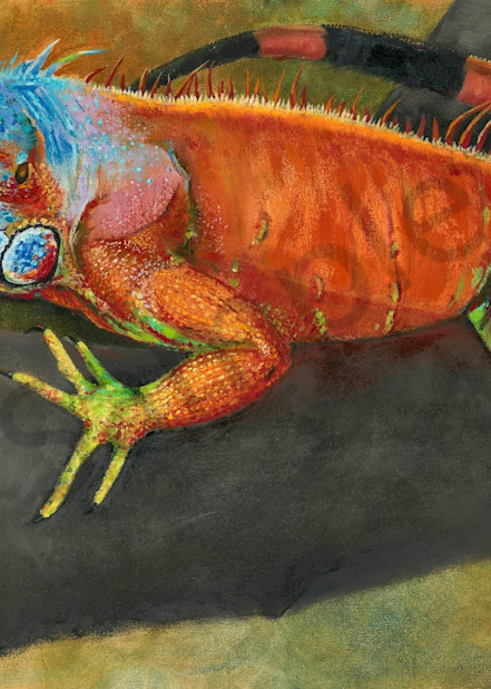 Iguana Chillin' Art | Al Marcenkus Art, LLC